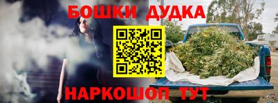индика Ликино-Дулёво
