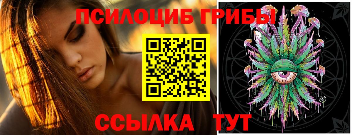 Псилоцибиновые грибы Psilocybe  Вход с VPN  Саров 
