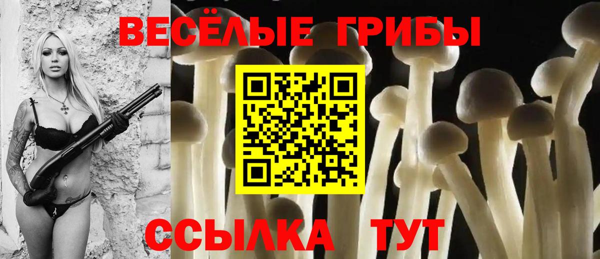 Псилоцибиновые грибы MAGIC MUSHROOMS Саров